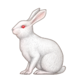 Emoji Natur-46